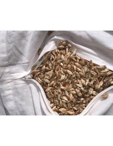 Coussin zafu de méditation Cotonmarine déhoussable. garnis de petit épautre. Coton 100 %, Beige par Coton Marine 40,00 €